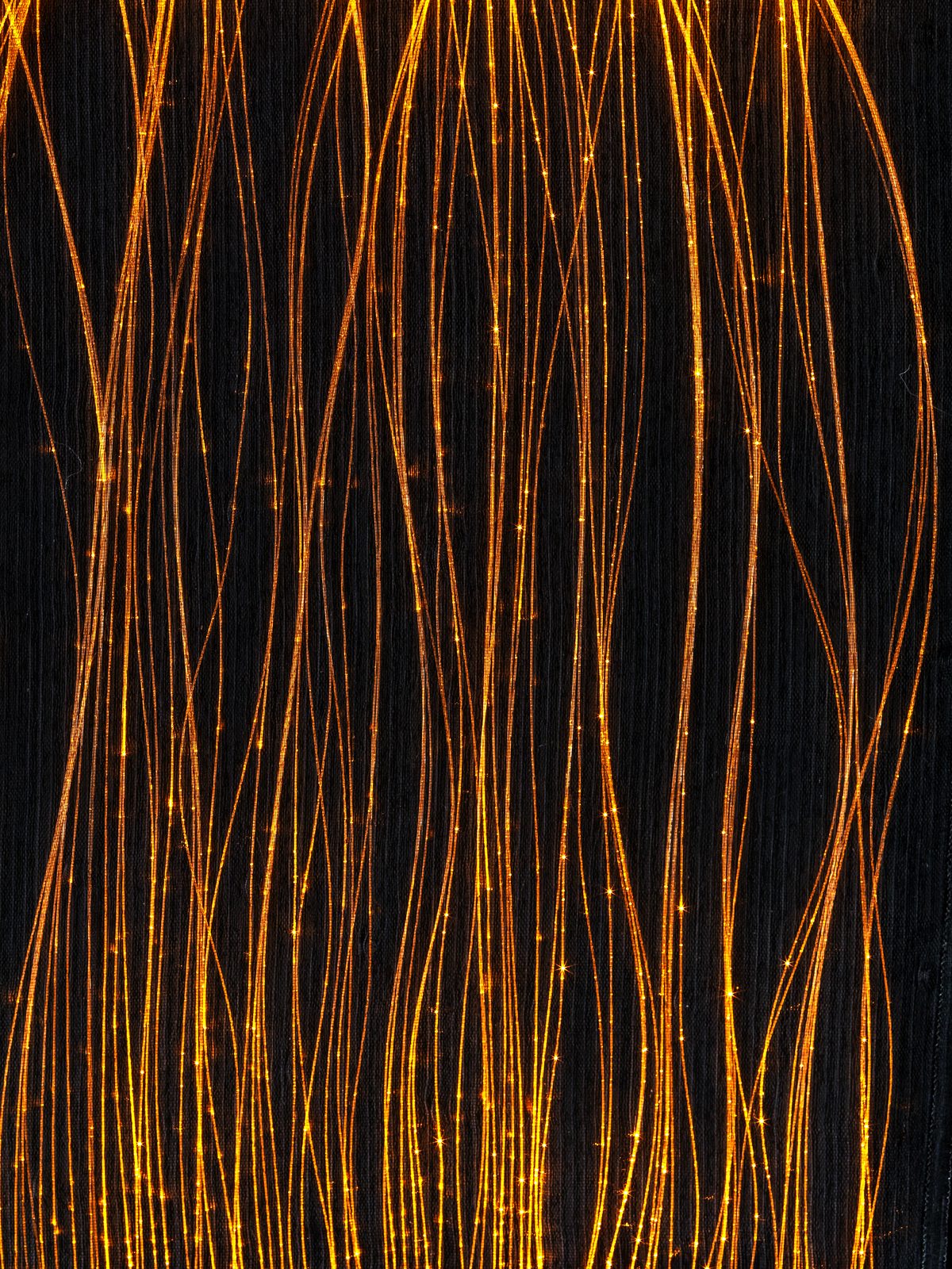 Organza — Black, amber